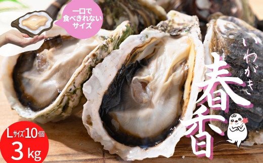 【ブランドいわがき春香】新鮮クリーミーな高級岩牡蠣 殻付きLサイズ×１０個