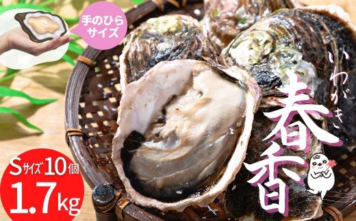 【ブランドいわがき春香】新鮮クリーミーな高級岩牡蠣 殻付きSサイズ×１０個