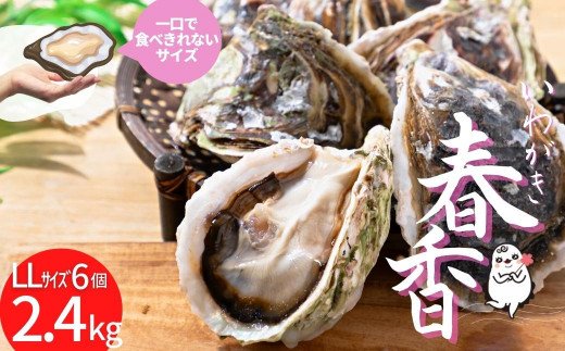 【ブランドいわがき春香】新鮮クリーミーな高級岩牡蠣 殻付きLLサイズ×６個