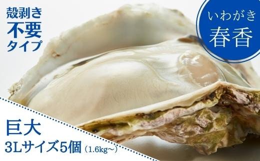 【殻剥き不要】ブランド岩牡蠣「春香」殻なし巨大3Lサイズ×5個（1.6kg〜2kg）