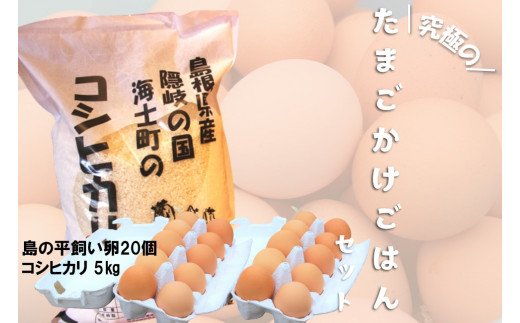 平飼い卵の卵かけご飯セット（平飼い卵20個・コシヒカリ5kg）