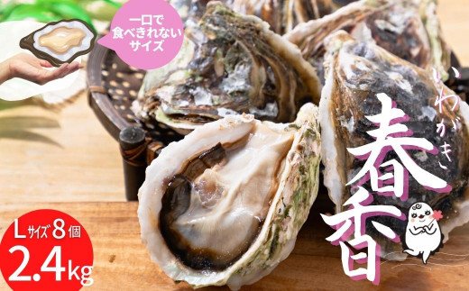 【ブランドいわがき春香】新鮮クリーミーな高級岩牡蠣 殻付きLサイズ×８個