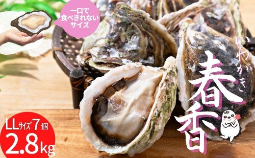 【ブランドいわがき春香】新鮮クリーミーな高級岩牡蠣 殻付きLLサイズ×７個