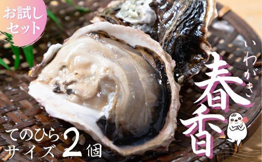 [ブランドいわがき春香]新鮮クリーミーな高級岩牡蠣 殻付きSサイズ×2個