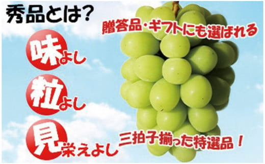 令和６年発送分】岡山県産シャインマスカット晴王【秀品】5㎏｜ふるラボ