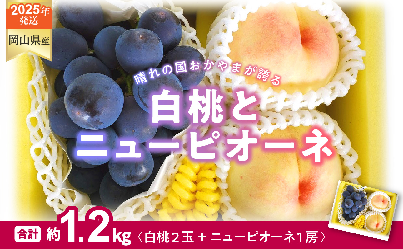 【2025年発送分 先行受付スタート！】岡山県産 白桃とニューピオーネのセット（令和７年7月以降発送）