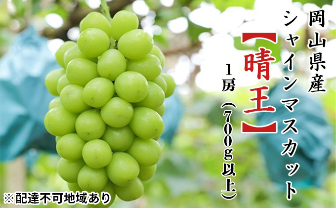 ぶどう ［2023年先行予約］ シャインマスカット 晴王 1房（700g以上）化粧箱入り 岡山県産｜ふるラボ