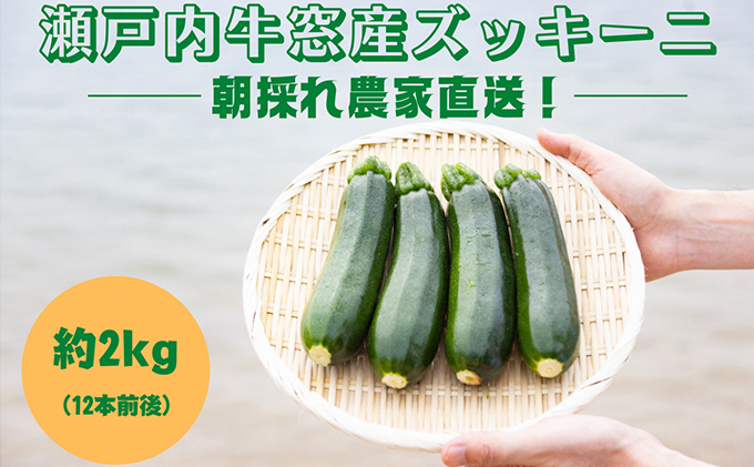 瀬戸内 牛窓産 ズッキーニ 約2kg（12本前後）｜ふるラボ