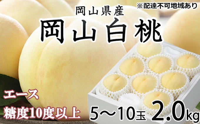 桃 2024年 先行予約 岡山 白桃 エース 5～10玉 約2kg JAおかやまのもも