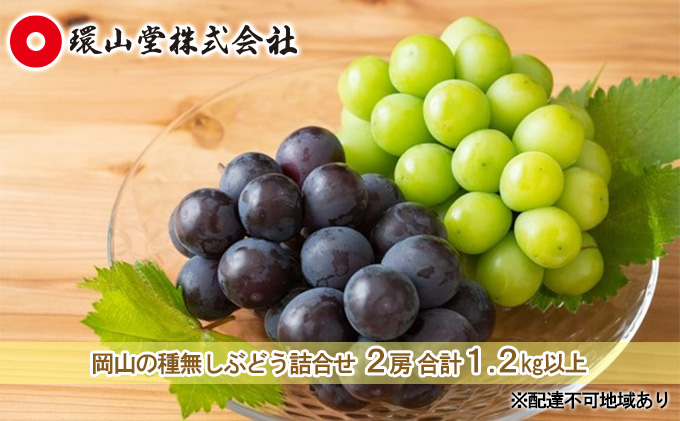 ぶどう 2025年 先行予約 種無し ぶどう 詰合せ 2房 合計1.2kg以上 マスカット ブドウ 葡萄  岡山県産 国産 フルーツ 果物 ギフト 環山堂