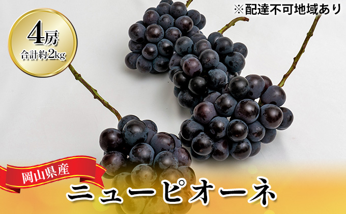 ぶどう 2024年 先行予約 ニュー ピオーネ 4房（合計約2kg） ブドウ 葡萄  岡山県産 国産 フルーツ 果物 ギフト 