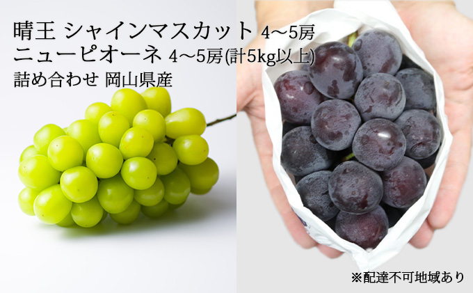 ぶどう［2023年先行予約］晴王 シャインマスカット 4～5房＆ニュー