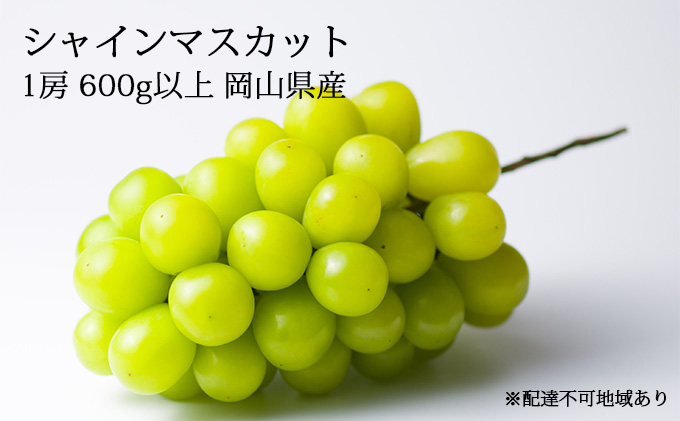 ぶどう［2023年先行予約］シャインマスカット 1房 600g以上 岡山県産