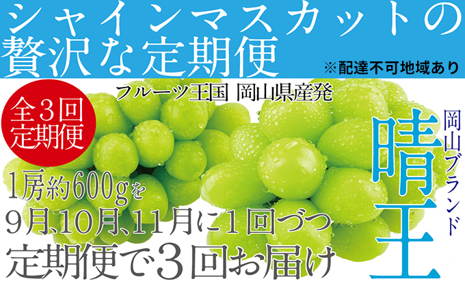 ぶどう 定期便［2023年先行予約］9月・10月・11月発送 シャイン