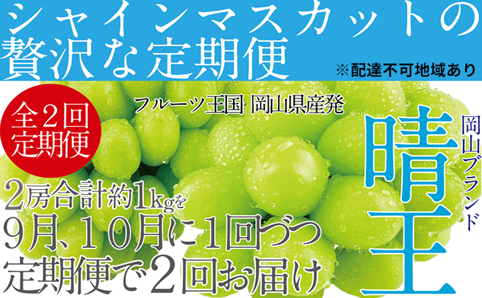 ぶどう 2024年 先行予約 9月・10月発送 シャイン マスカット 晴王 2房