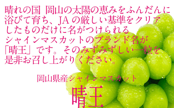 ぶどう 定期便［2023年先行予約］9月・10月・11月発送 シャイン