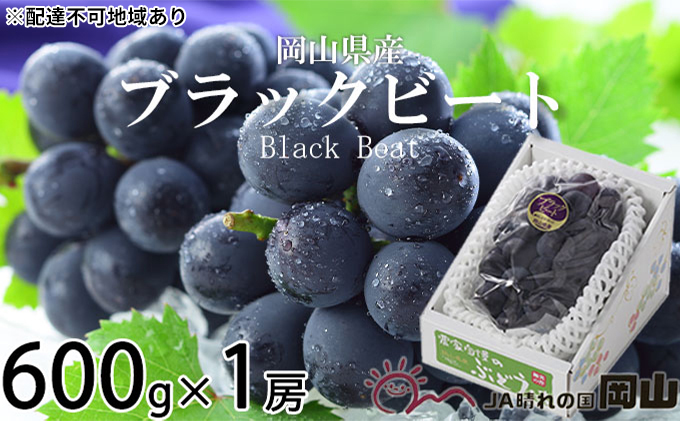 ぶどう 2024年 先行予約 ブラックビート 約600g×1房 ブドウ 葡萄 岡山県産 国産 フルーツ 果物 ギフト｜ふるラボ