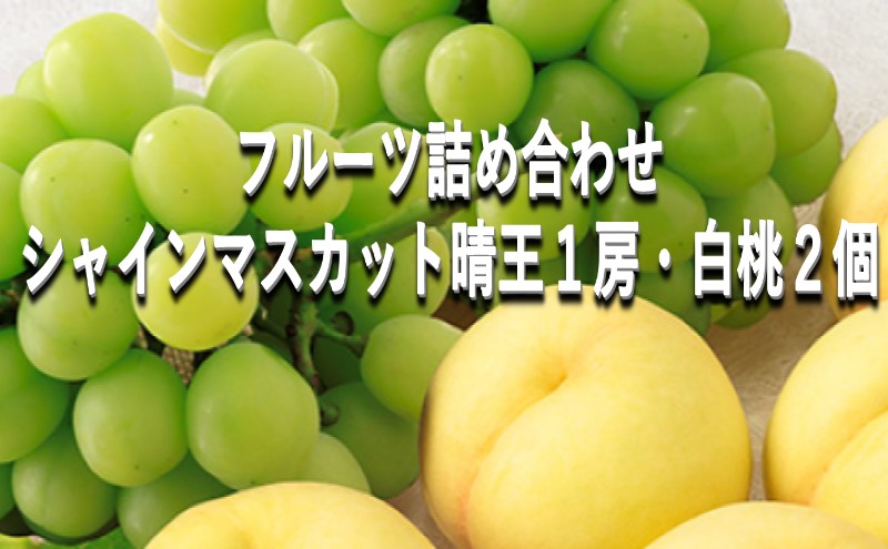 桃 ぶどう 【2025年 早期受付】 フルーツ詰め合わせ シャインマスカット 晴王 1房 ・ 白桃 2個 もも ブドウ 葡萄 岡山県産 国産 フルーツ 果物 ギフト