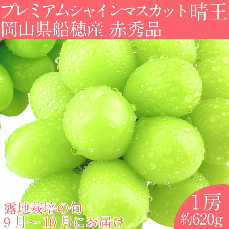 【2025年 予約受付中】  プレミアム シャインマスカット 晴王 1房約620g/ 岡山県 船穂産 赤秀品 種無し 皮ごと食べる みずみずしい 9月10月にお届け フレッシュ 晴れの国 おかやま 果物大国 彩美菜果