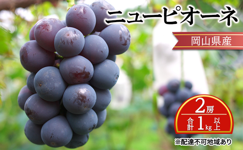 ぶどう 【2025年 先行予約】 ニュー ピオーネ 2房 合計1kg以上 ブドウ 葡萄 岡山県産 国産 フルーツ 果物 ギフト