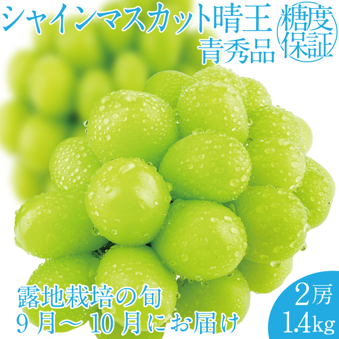 2025年 先行予約受付中 シャインマスカット晴王 2房 約1.4kg 岡山県産 種無し 皮ごと食べる みずみずしい 甘い フレッシュ 瀬戸内 晴れの国 おかやま 果物大国 ハレノフルーツ