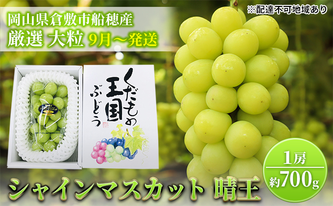 2025年先行予約】 ぶどう 岡山県産 シャインマスカット 晴王 厳選 1房 約700g 大房 岡山県 倉敷市 船穂産  《2025年9月上旬-10月上旬頃出荷》 葡萄 ブドウ フルーツ 果物 数量限定 期間限定 里庄町｜ふるラボ