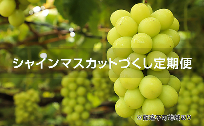 ぶどう 2024年 先行予約 シャインマスカット づくし 定期便 3回 ブドウ 葡萄 岡山県 シャインマスカット フルーツ ぶどう ブドウ マスカット フルーツ 種なし フルーツ シャインマスカット
