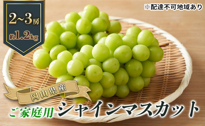 ご家庭用 シャインマスカット 2～3房（約1.2kg） 岡山県産 葡萄 ぶどう