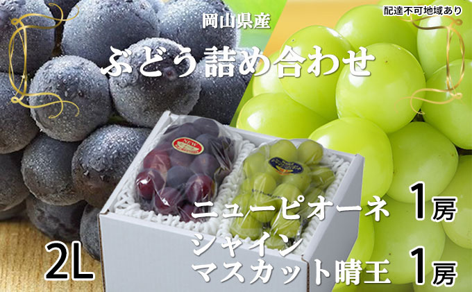 岡山県産フルーツ詰め合わせ