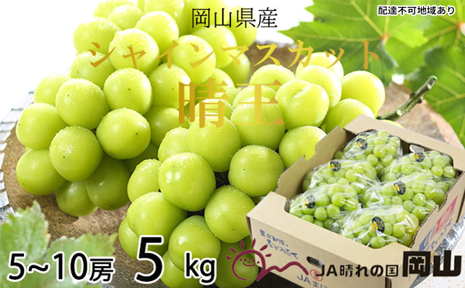 シャインマスカット 晴王 5房～10房 約5kg 岡山県産 葡萄 ぶどう 果物