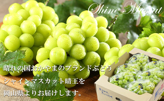シャインマスカット 晴王 5房～10房 約5kg 岡山県産 葡萄 ぶどう 果物