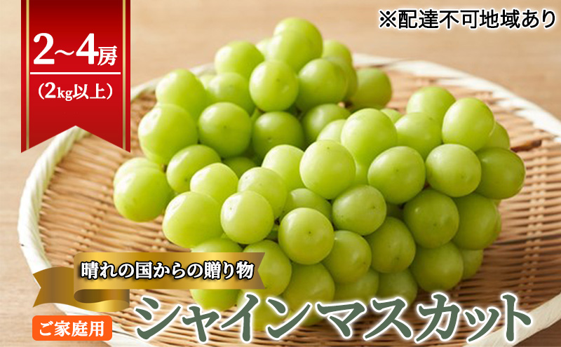 【2025年先行予約】【ご家庭用】 ぶどう 岡山県産 晴れの国からの 贈り物 シャインマスカット 2kg以上（2房～4房） 《2025年9月上旬-10月中旬頃出荷》 葡萄 フルーツ 果物 スイーツ 数量限定 期間限定 岡山 里庄町
