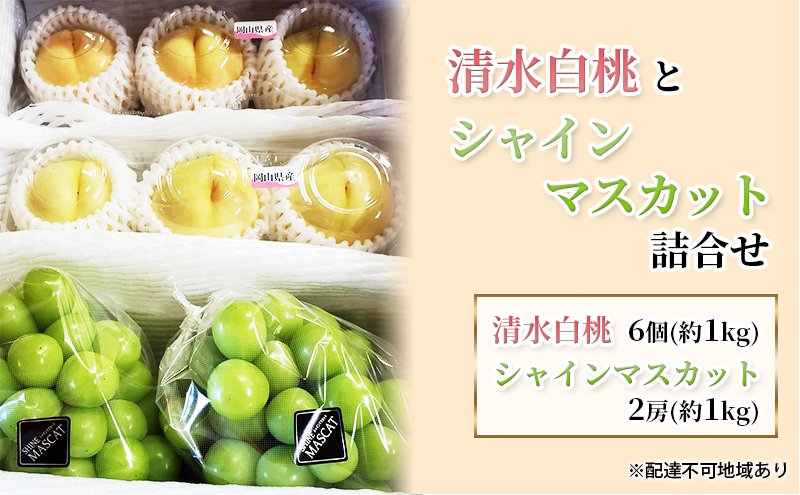 【2025年先行予約】桃 ぶどう 岡山県産 清水白桃（6個・約1kg）と シャインマスカット （2房・約1kg） 詰合せ セット 《2025年7月下旬-8月中旬頃出荷》 もも モモ 葡萄 ブドウ フルーツ 果物 数量限定 