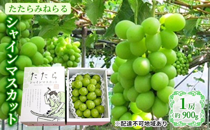 【限定100個】 ぶどう 2024年 先行予約 たたらみねらる シャインマスカット 1房(約900g) 岡山県 葡萄 フルーツ マスカット 種なし 果物