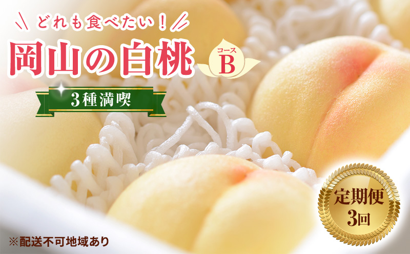 【 2025年 先行予約 】 桃 岡山県産 どれも食べたい！岡山 白桃 3種 満喫 プラン 3回 コースB ( 白鳳 ・ 清水白桃 ・ 瀬戸内白桃 各1.2kg)《2025年7月上旬-8月下旬頃出荷》フルーツ 果物 数量限定 期間限定 里庄町