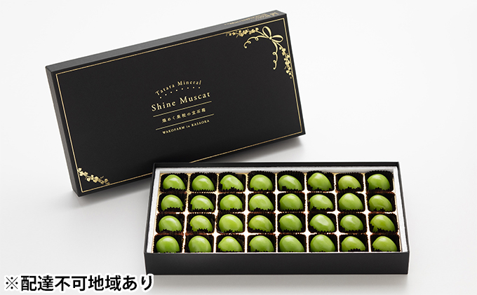 岡山県産 クリスマス シャインマスカット 32粒 煌めく果粒の宝石箱