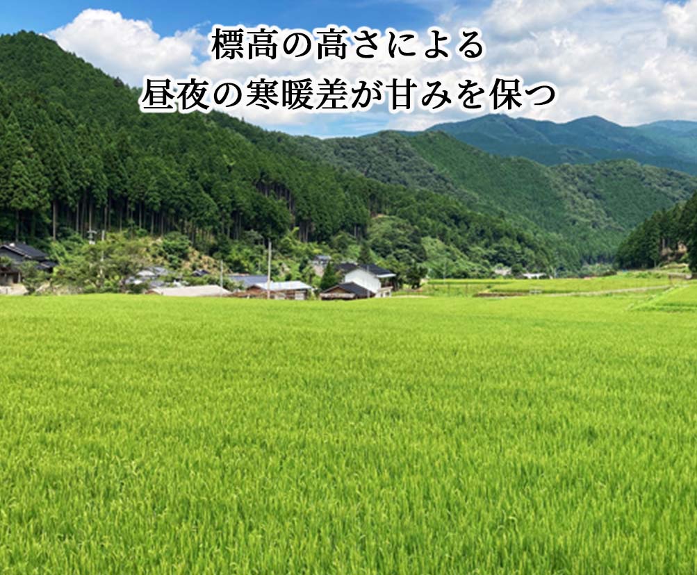 6回定期便】令和5年産 あわくら源流米 あきたこまち 玄米30kg×6_K-bd