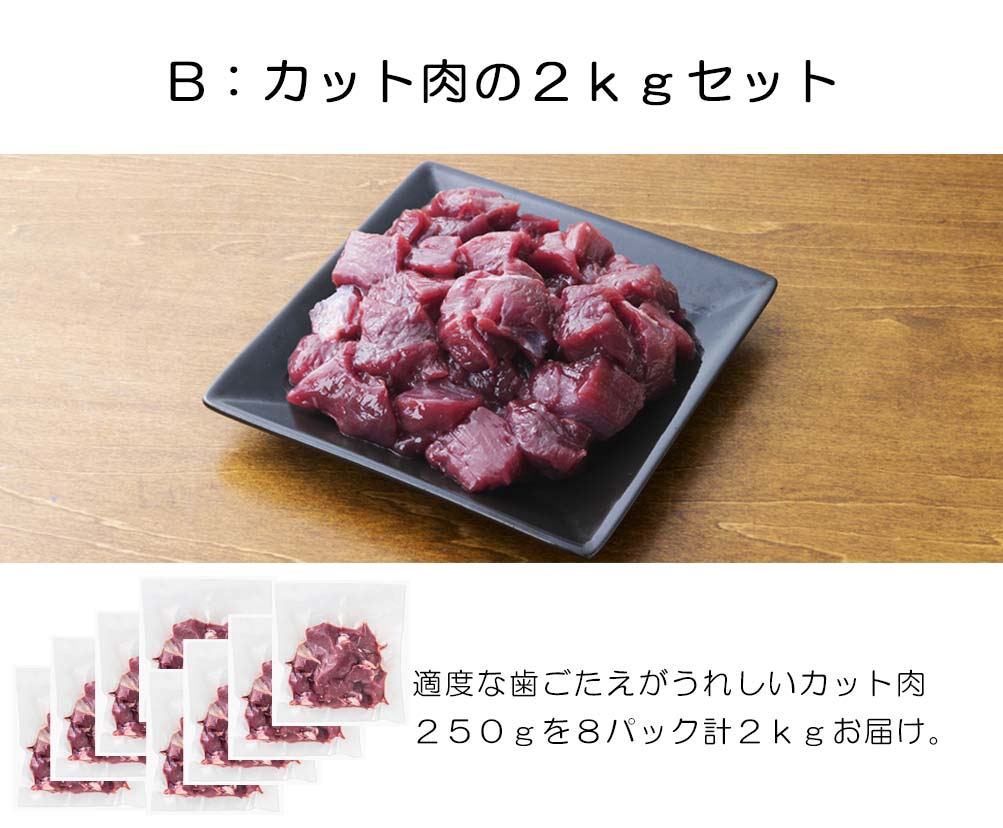 3回定期便】 森のジビエ for PET 鹿肉 250g×8パック(計2kg)ペット