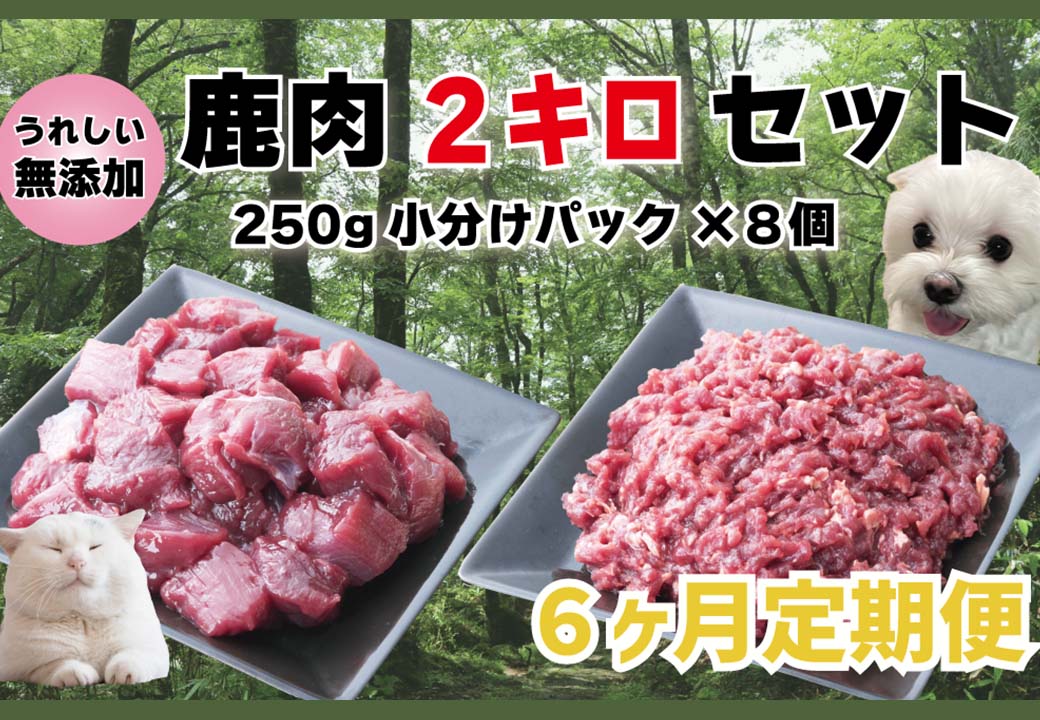 【6回定期便】 森のジビエ for PET 鹿肉 250g×8パック(計2kg) ペットフード 犬 猫 A-JK-C01A