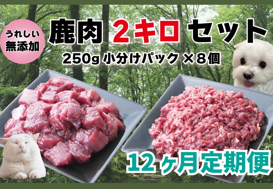 【12回定期便】 森のジビエ for PET 鹿肉 250g×8パック(計2kg) ペットフード 犬 猫 A-JK-D01A
