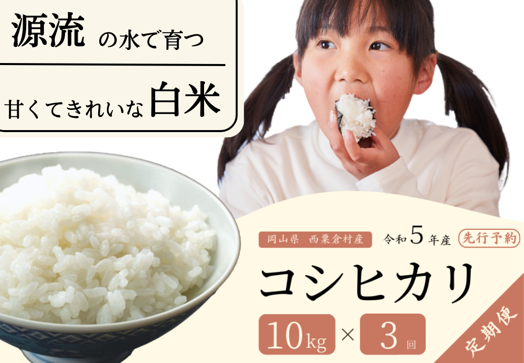 お米　愛媛県産コシヒカリ　令和２年　白米　10㎏　米/穀物