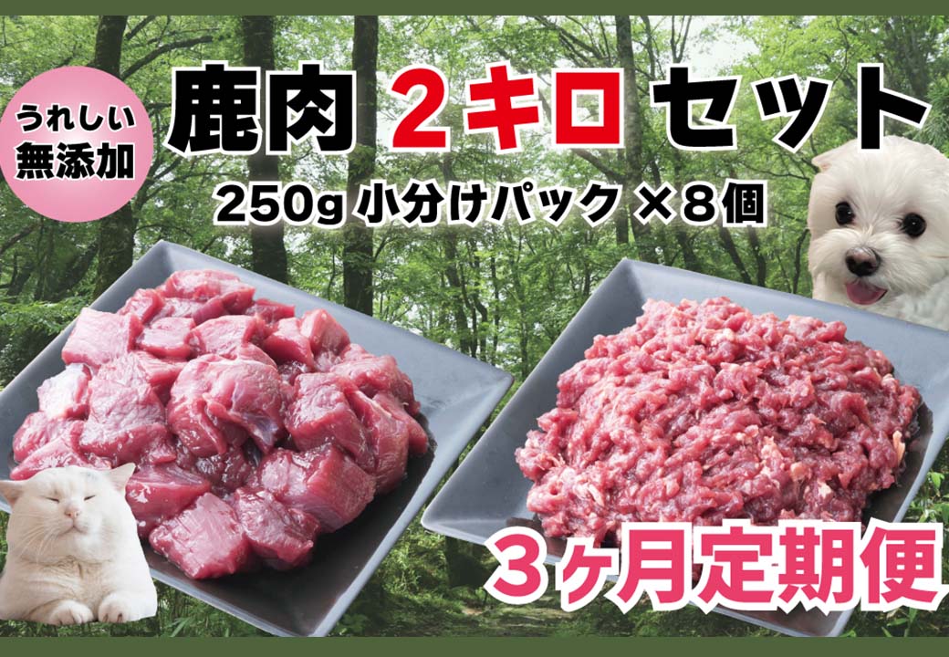 【3回定期便】 森のジビエ for PET 鹿肉 250g×8パック(計2kg)ペットフード 犬 猫 A-JK-B01A
