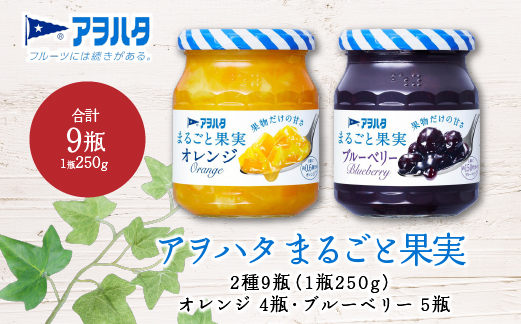  ジャム　ブルーベリー 5瓶／ オレンジ 4瓶　 まるごと果実 2種9瓶（1瓶250g）　アヲハタ