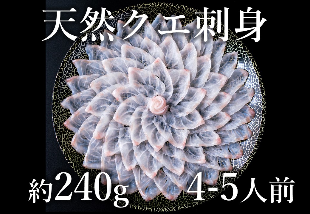 (1355)幻の高級魚 クエ刺身(薄造り) 4〜5人前 240g 冷凍 山口県 長門市