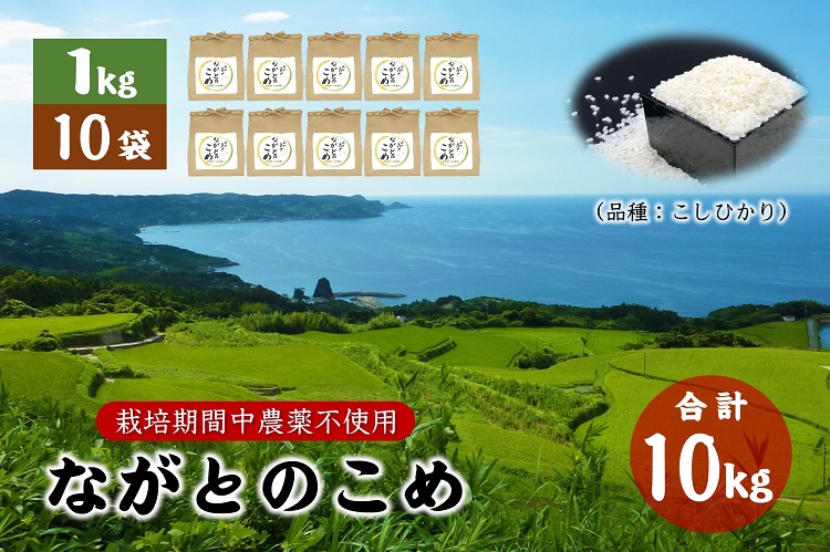 (12021)ながとのこめ こしひかり コシヒカリ 小分けパック 1kg×10袋 玄米 長門市 令和5年度産