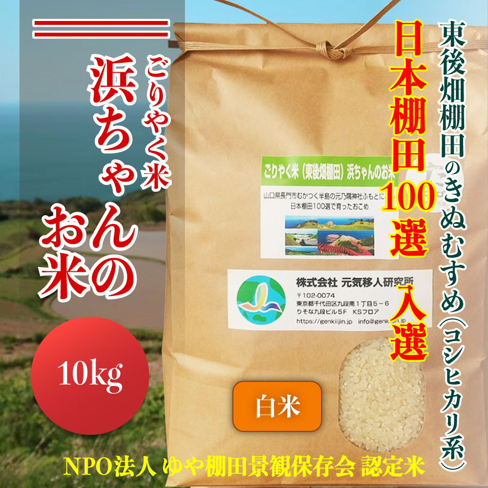 減農薬　美味しい棚田　ヒトメボレ　20kg 無洗米できます。