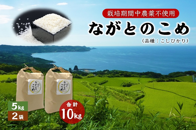 (12023)ながとのこめ こしひかり コシヒカリ 5kg×2袋  合計10ｋｇ 白米 精米 長門市 令和5年度産