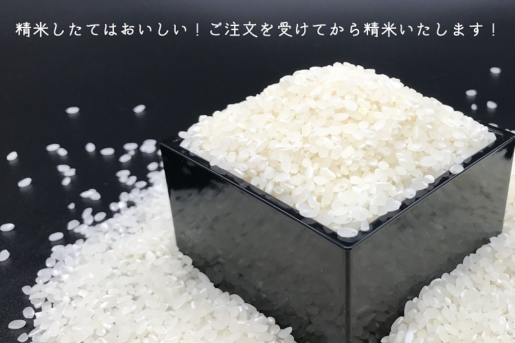 1614)定期便 ながとのこめ 玄米 1kg×10袋 毎月 全3回 合計30kg