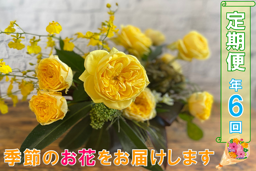 (1601)長門産 季節のお花の定期便(年6回毎月コース) 贈り物 ギフト