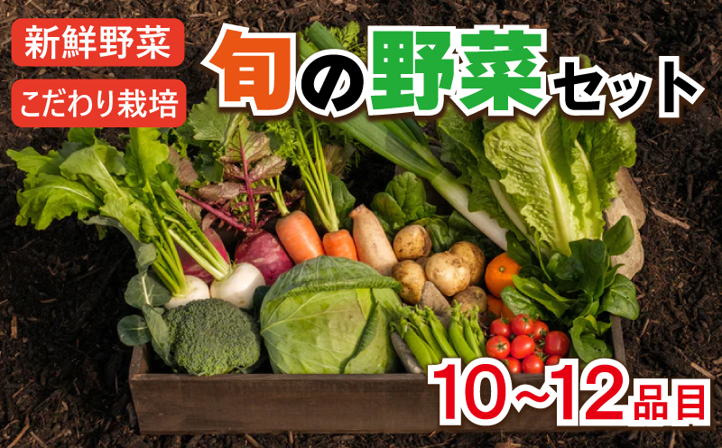 自然農・有機野菜詰め合わせセット 10〜12品目
